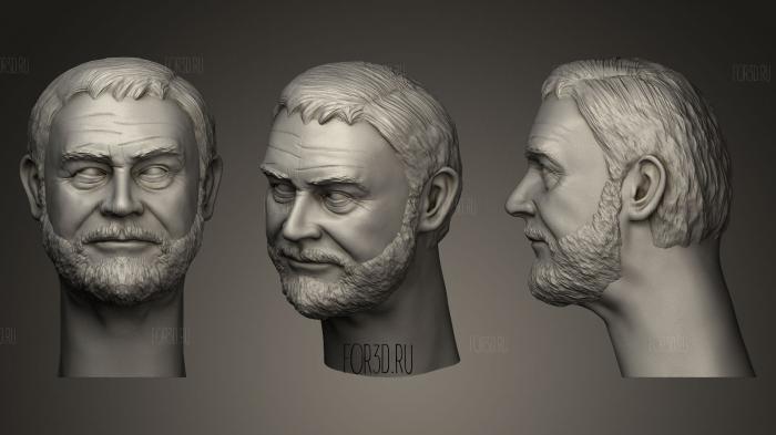 Sean Connery head stl model for CNC